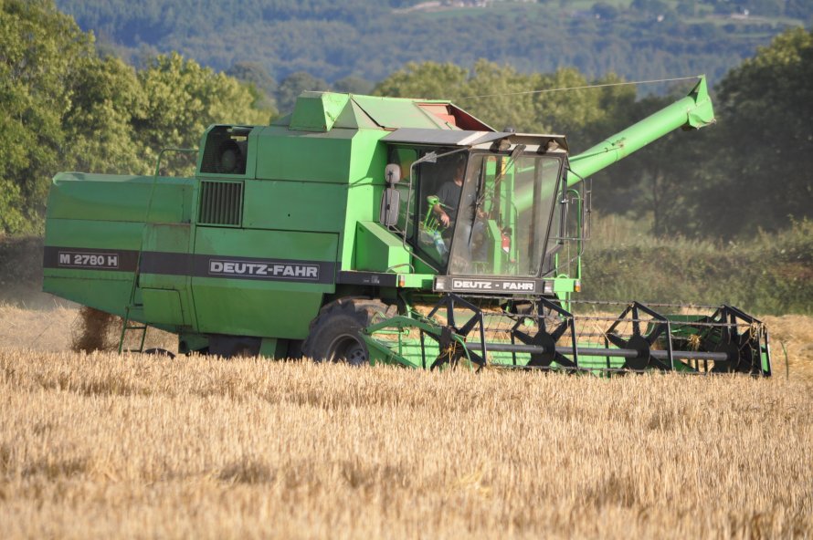 Cat Lexion 480