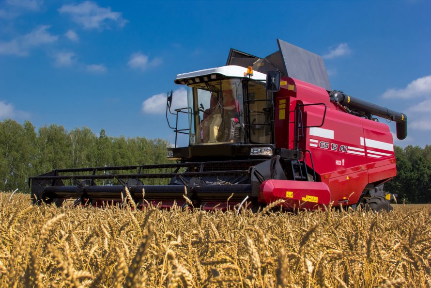 Палессе gs12 2019