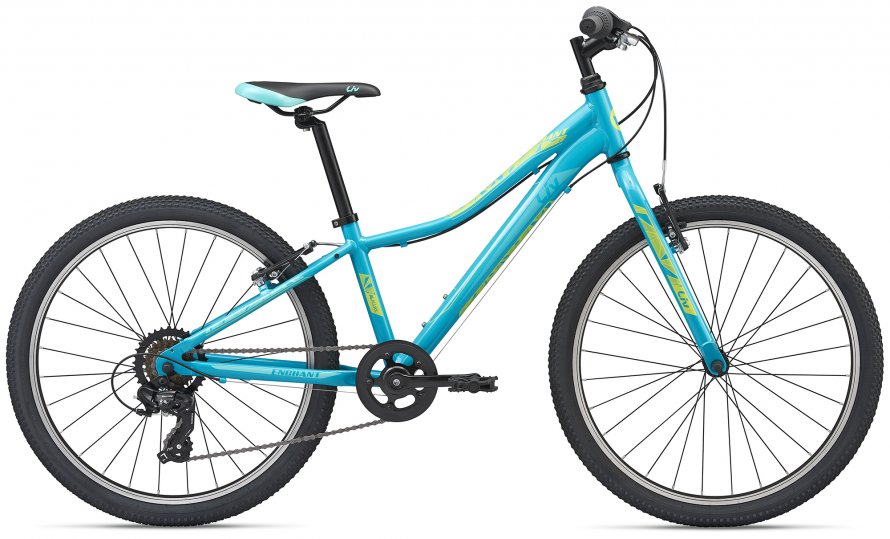 Merida big Nine 20 d