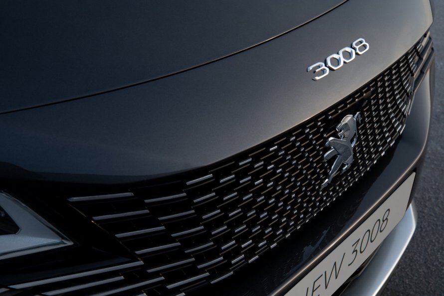 Peugeot 3008 2021 Grill