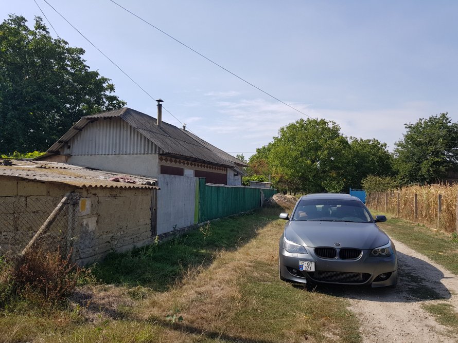 BMW В лесу