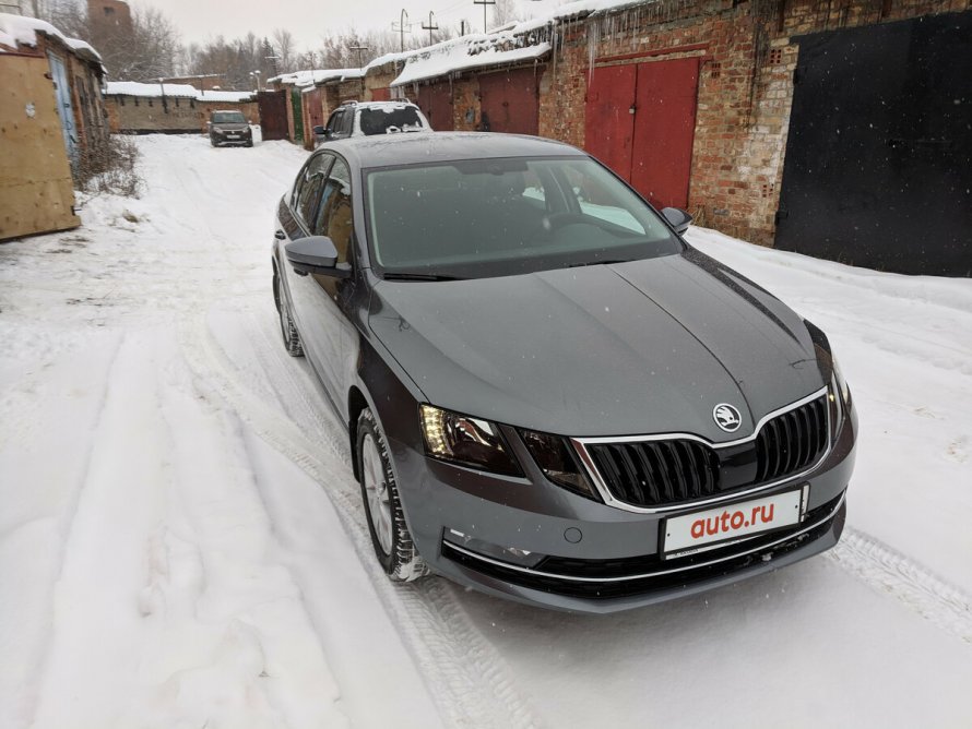 Skoda Octavia a8 серая
