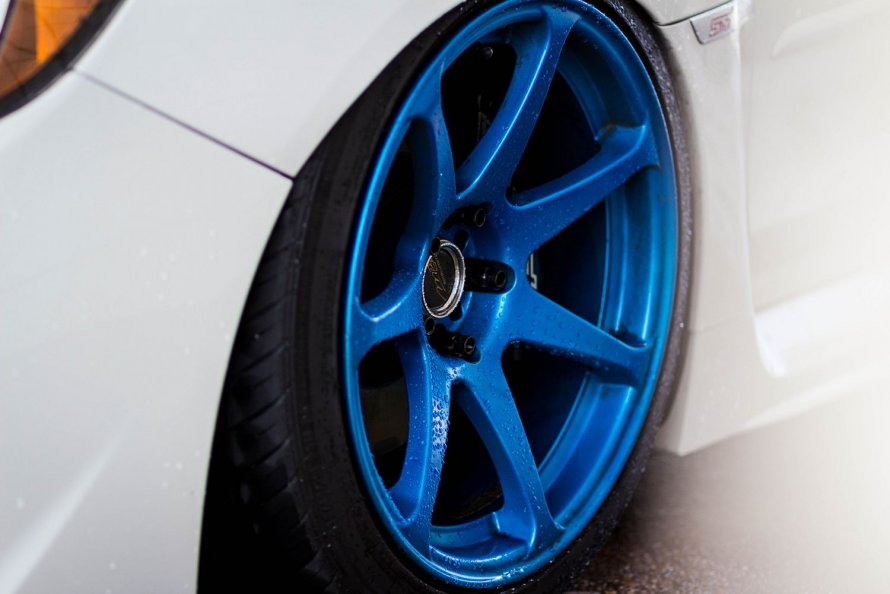 Vossen cv1