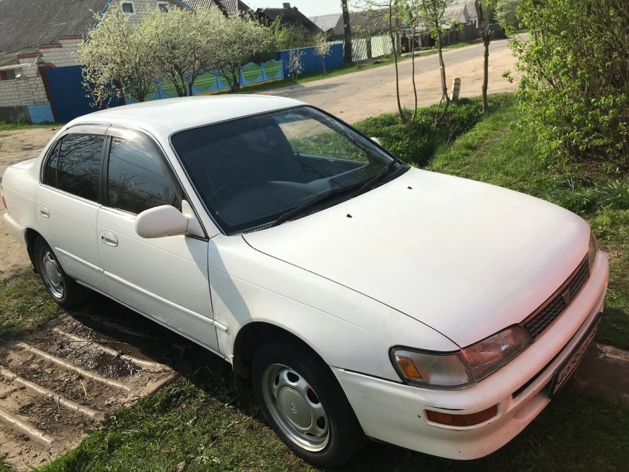 Toyota Corolla 1994