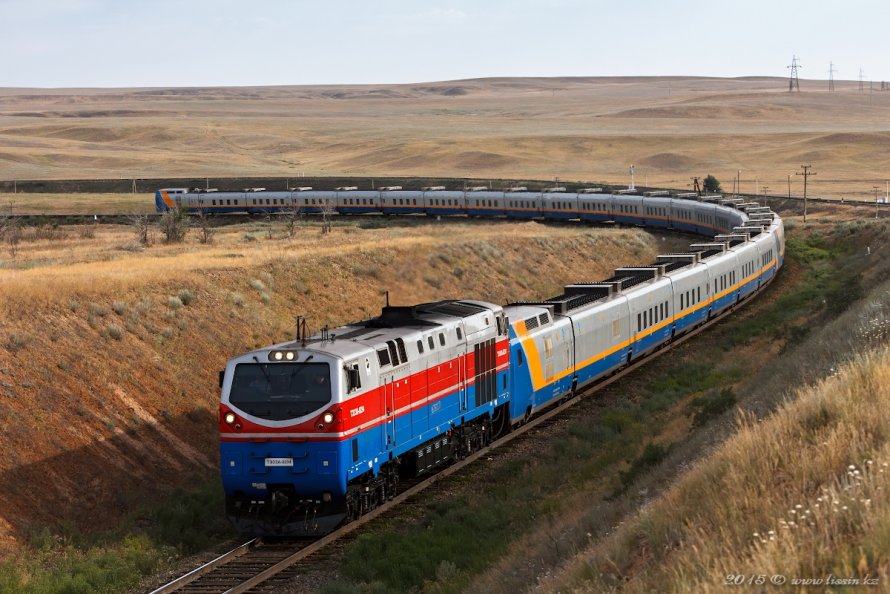 Стриж вагоны Talgo