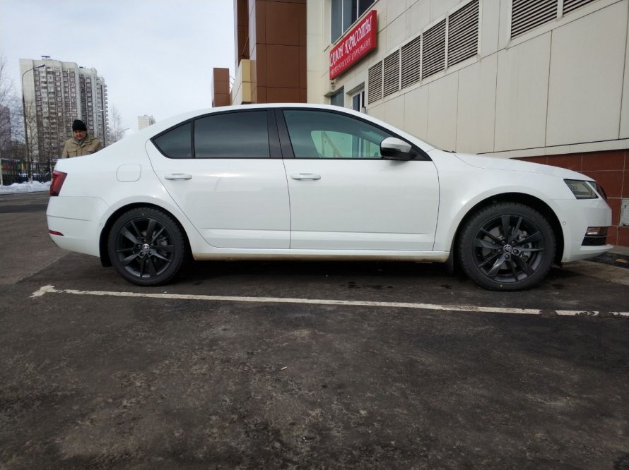 Skoda Octavia a7 -50 пружины