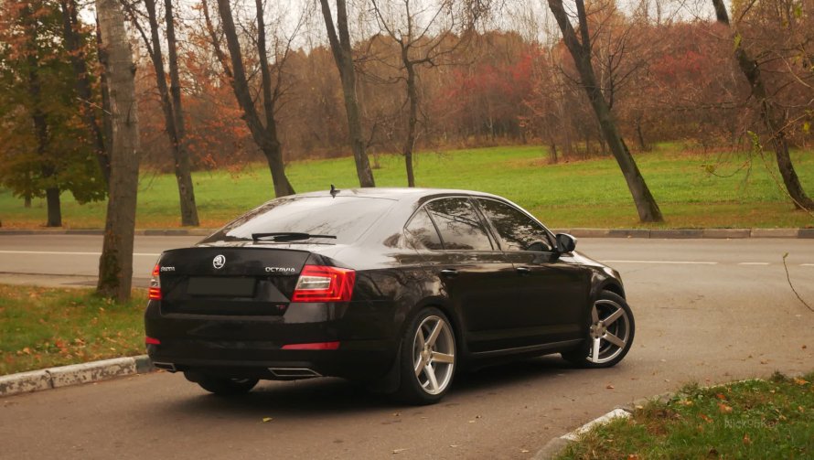 Octavia a7 занижение