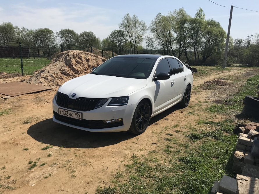 Шкода Октавия а7 белая тонированная