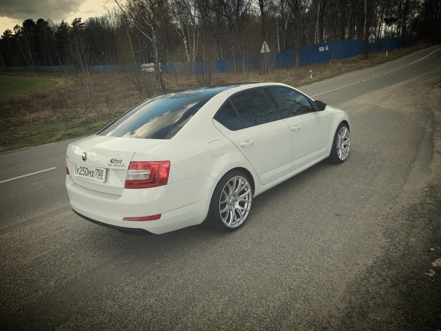 Skoda Octavia r19