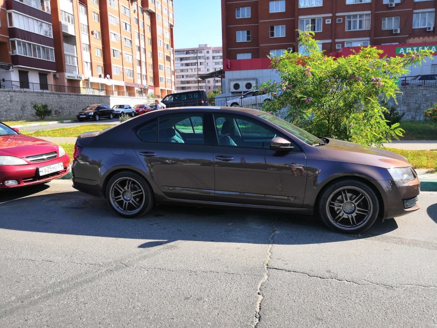 Eibach Pro-Kit Octavia a7