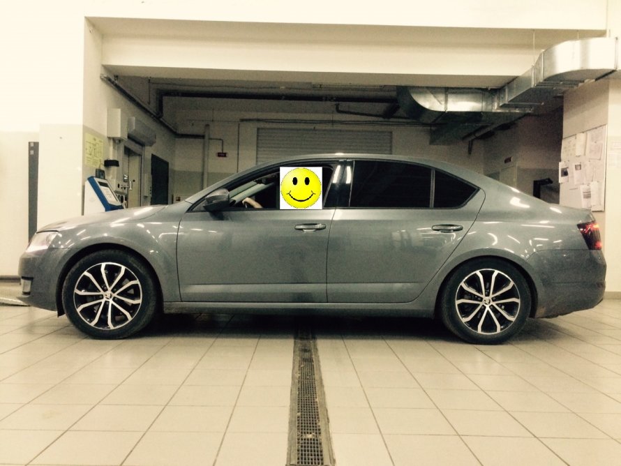 Skoda Octavia a7 -50 пружины