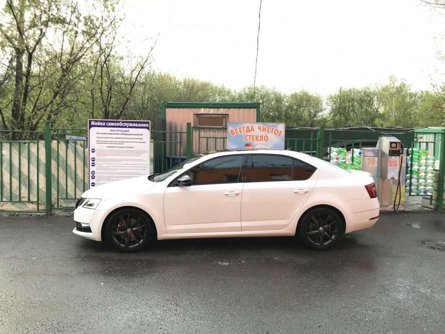 Octavia a7 Eibach -30