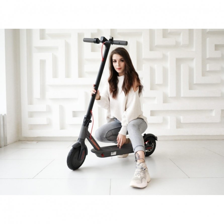 Электросамокат Electric Scooter es-913