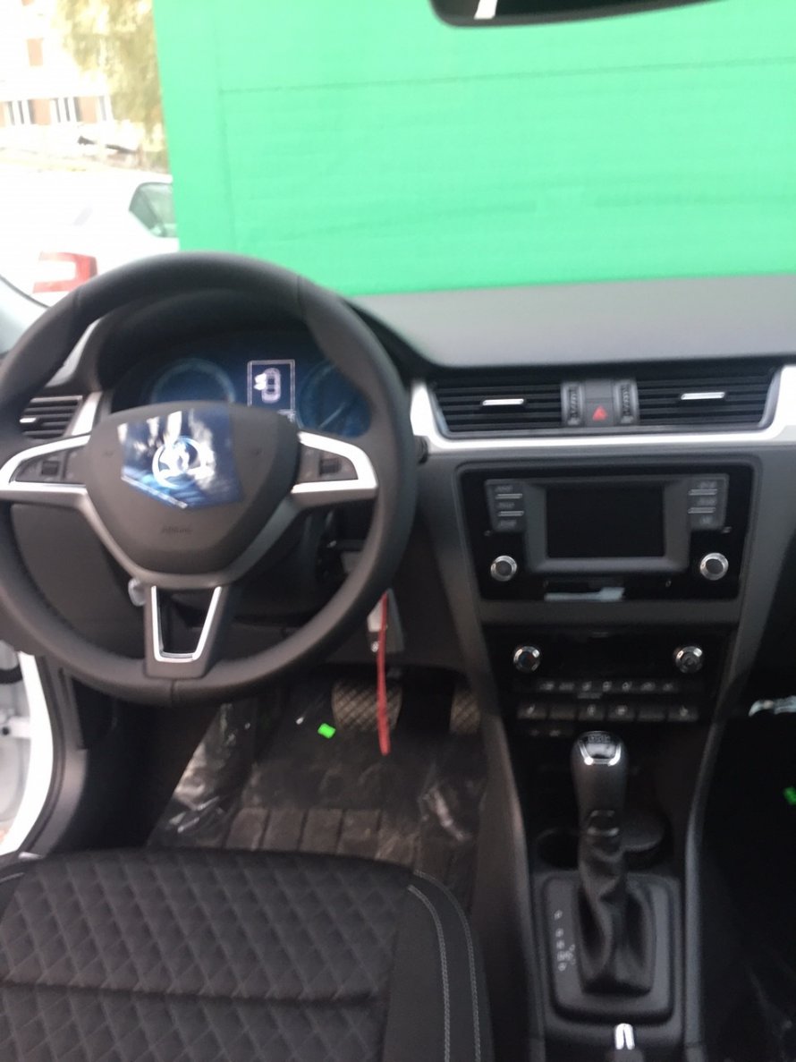 Потолок Skoda Rapid 2018