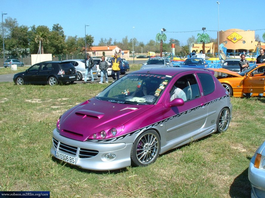 Peugeot 206 New ray