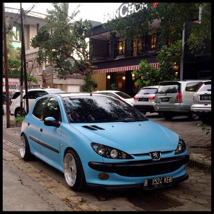 Peugeot 206 RC stance