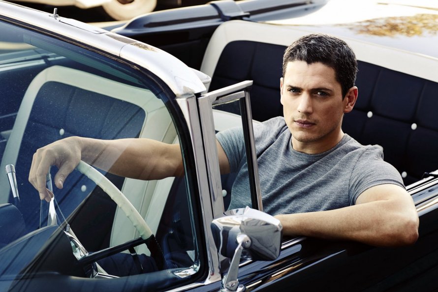 Wentworth Miller