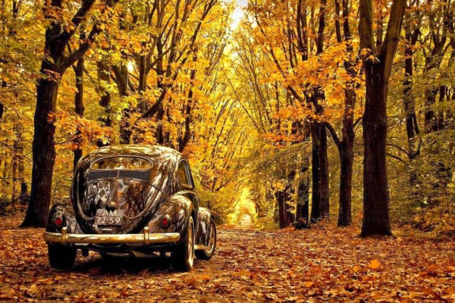 Автомобиль осенью