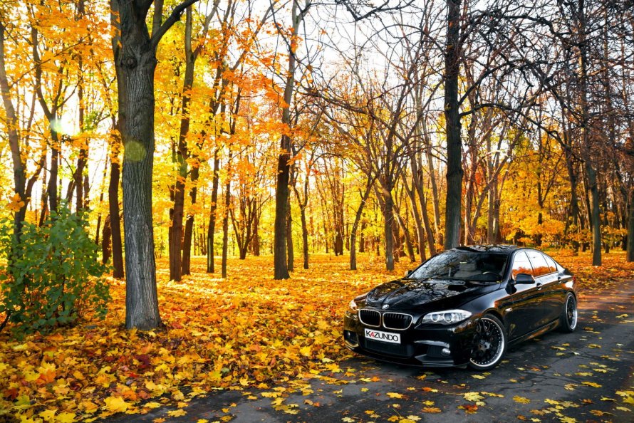 BMW e60 осень