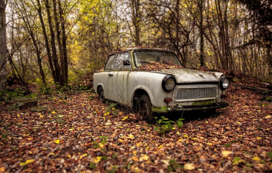 Авто осень
