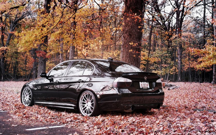 BMW 320i осень