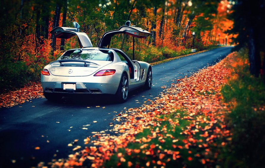 Mercedes-Benz SLS AMG осень