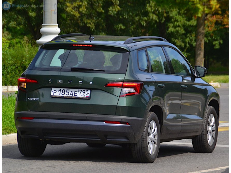 Skoda Karoq фото сзади