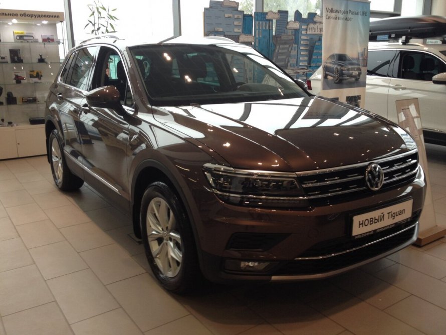 Volkswagen Tiguan 2021 коричневый