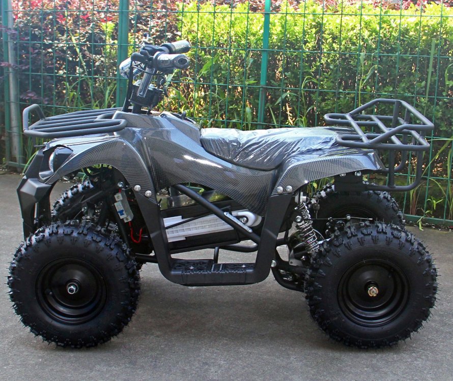 Электроквадроцикл Bison 800