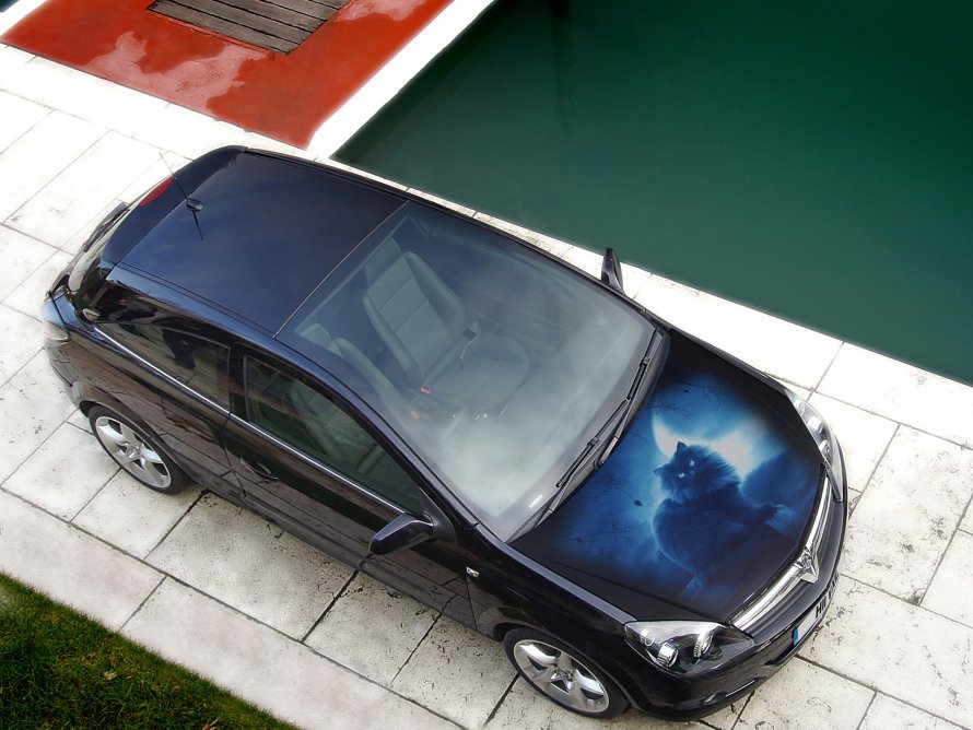Opel Astra h GTC панорамное стекло