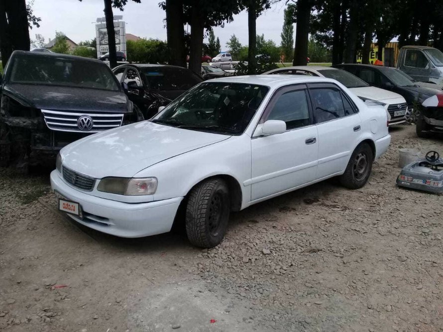 Toyota Corolla le 1999