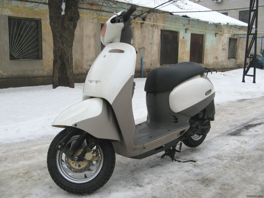 Honda Tact 51