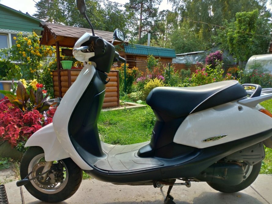 Хонда лид 50