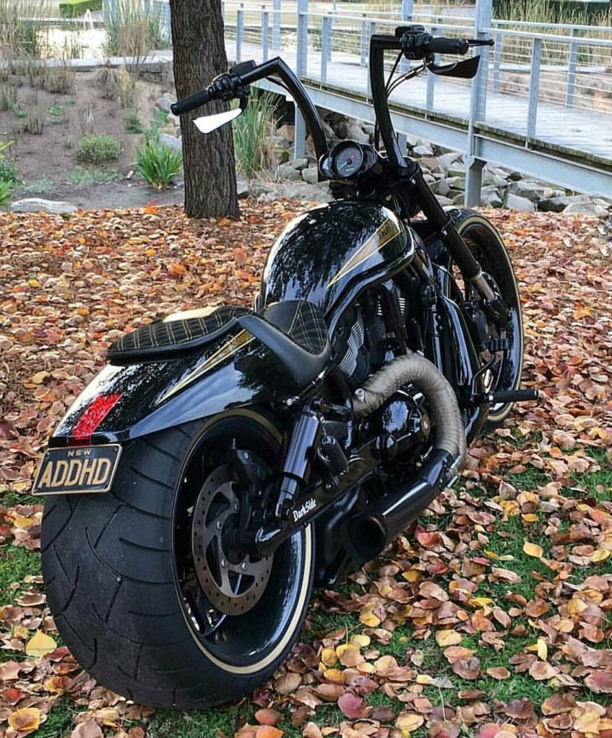Harley Davidson v-Rod