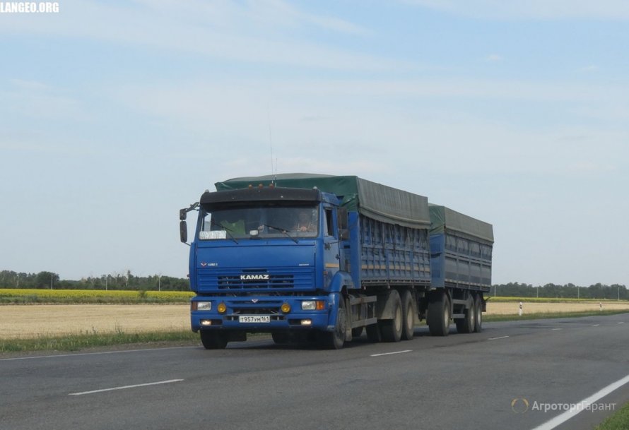 КАМАЗЫ зерновозы на дороге