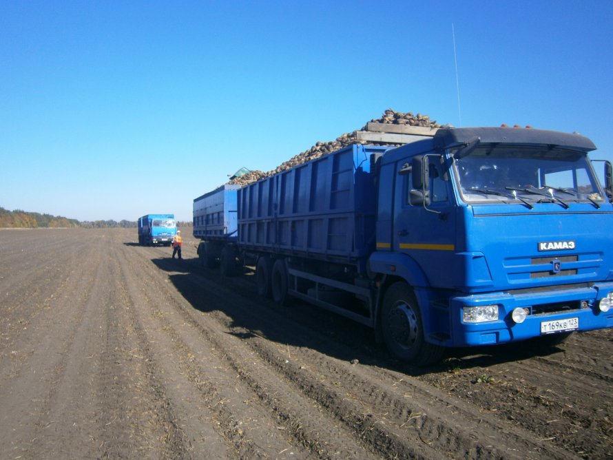 Зерновой зерновоз КАМАЗ