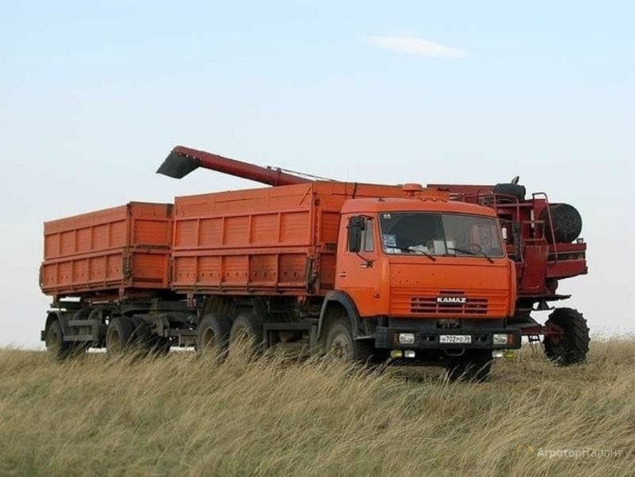 КАМАЗ 45143 на уборке зерна