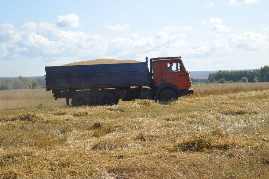 КАМАЗ на уборочной