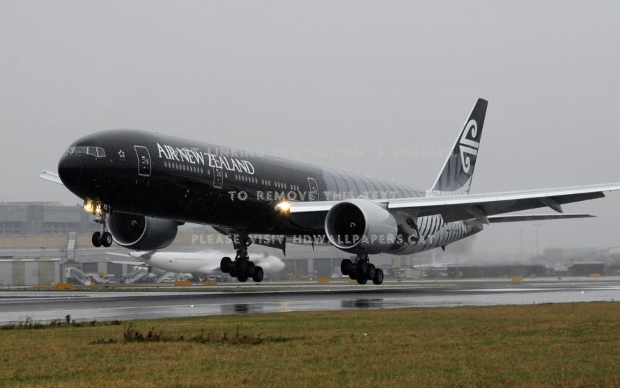Air New Zealand фото