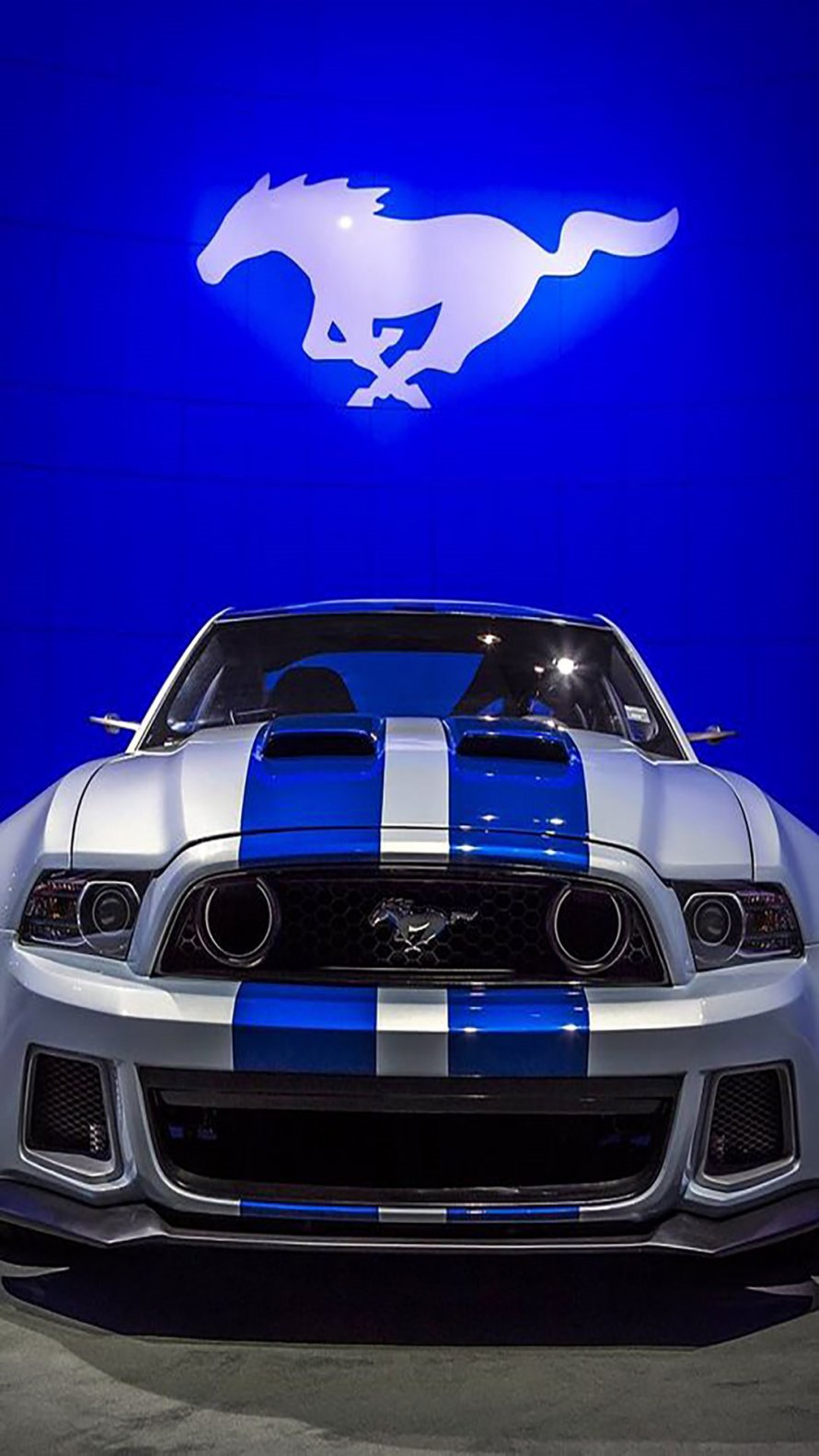 Ford Mustang Shelby