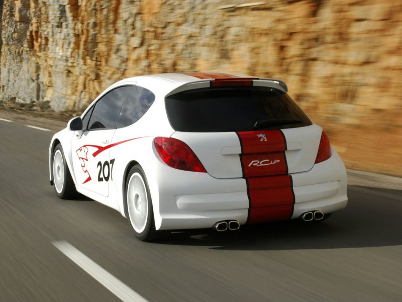 Peugeot 207 rcup Concept