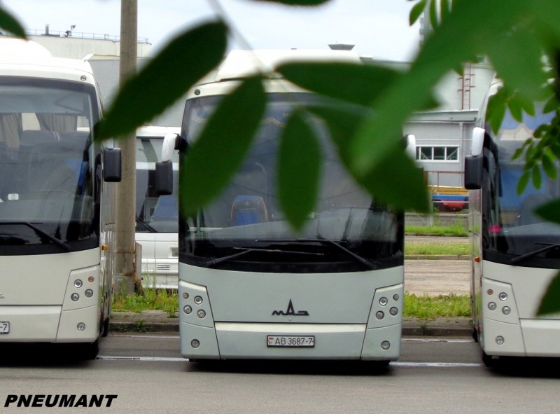 Автобусы МАЗ туристические салон