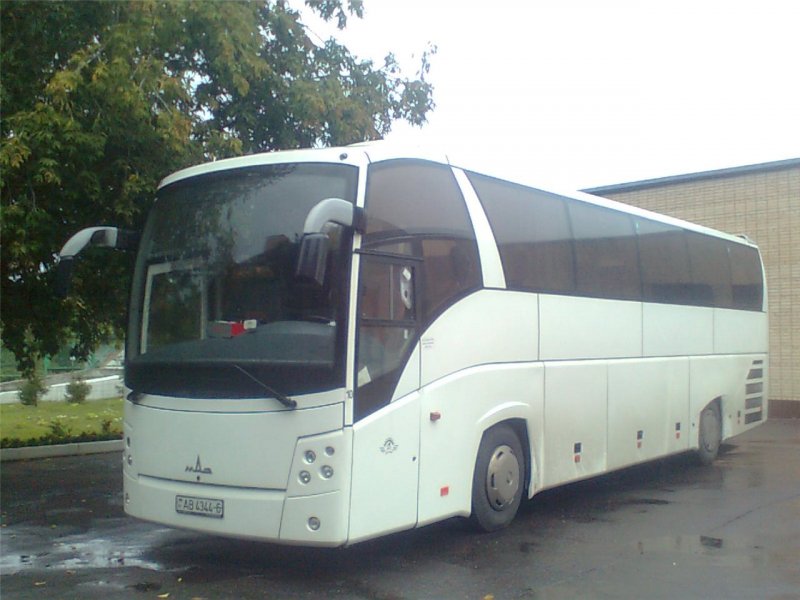 Автобус МАЗ турист