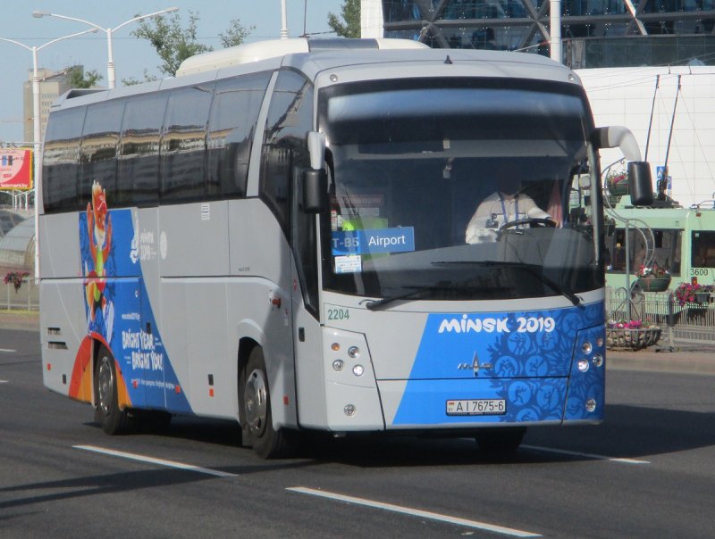 МАЗ 251 вид сзади