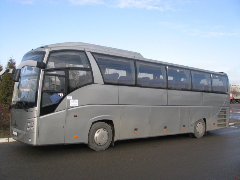 МАЗ автобус туристический 2005