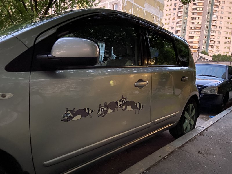 Ниссан енот наклейка