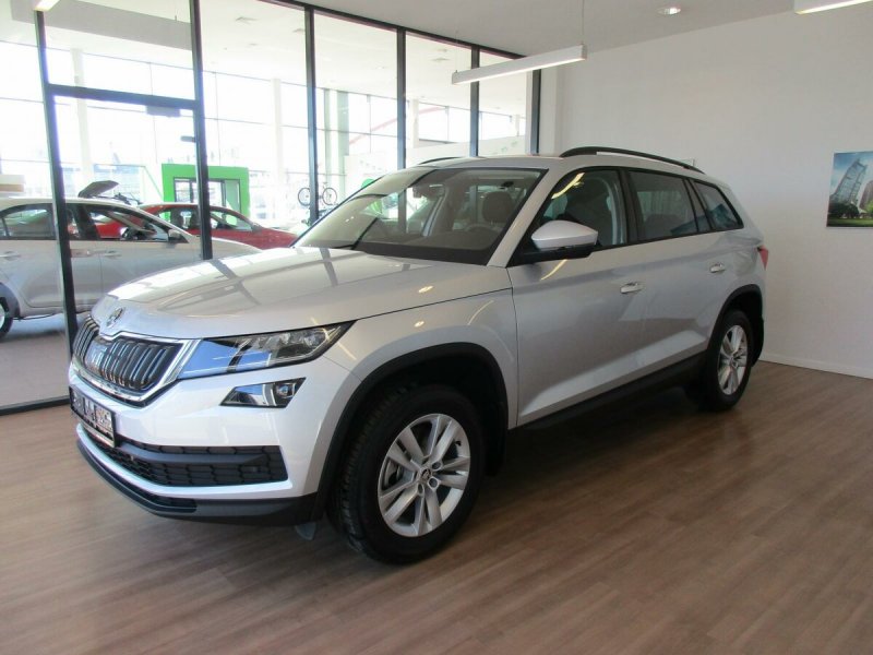Kodiaq 2021 серебристый металлик