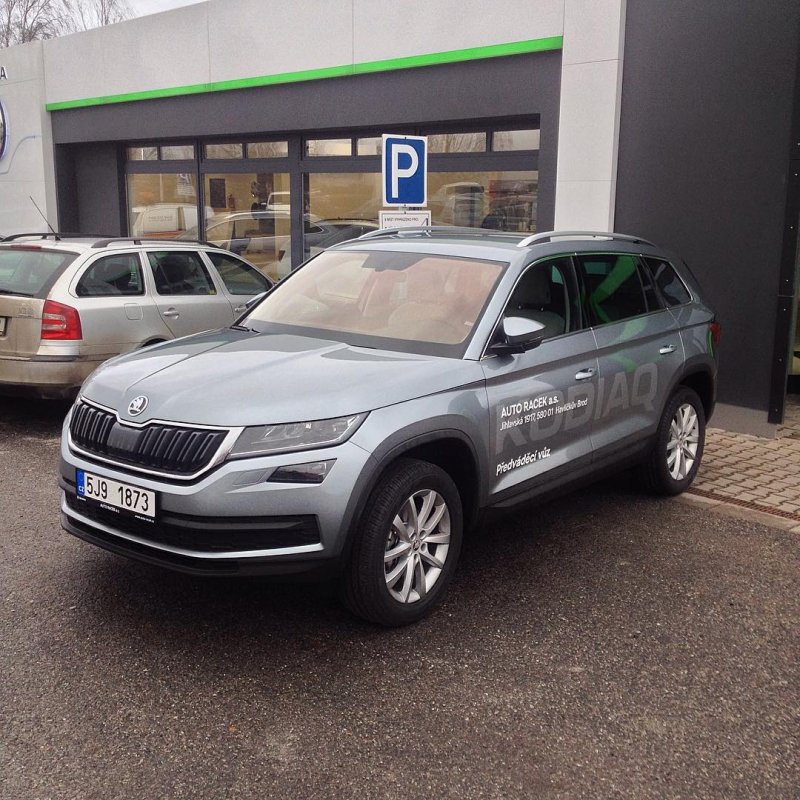 Skoda Kodiaq серый металлик