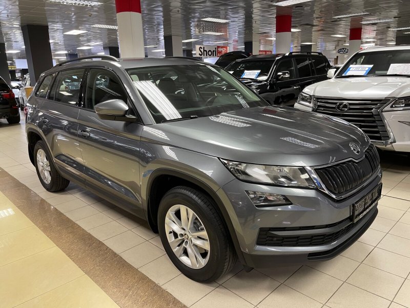 Skoda Karoq серебристый металлик
