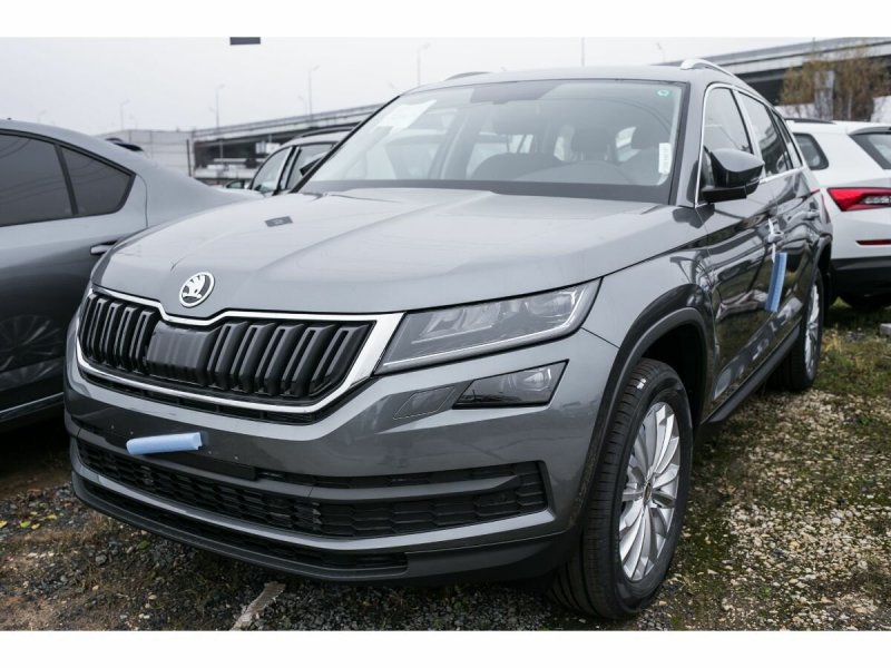 Škoda Kodiaq серый